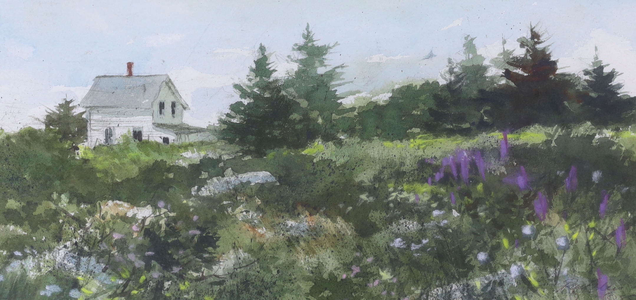 Ray Ellis (b.1921), watercolour, 'Lupine Field, Maine', signed and dated '85, Chris Beetles label verso, 17 x 35cm